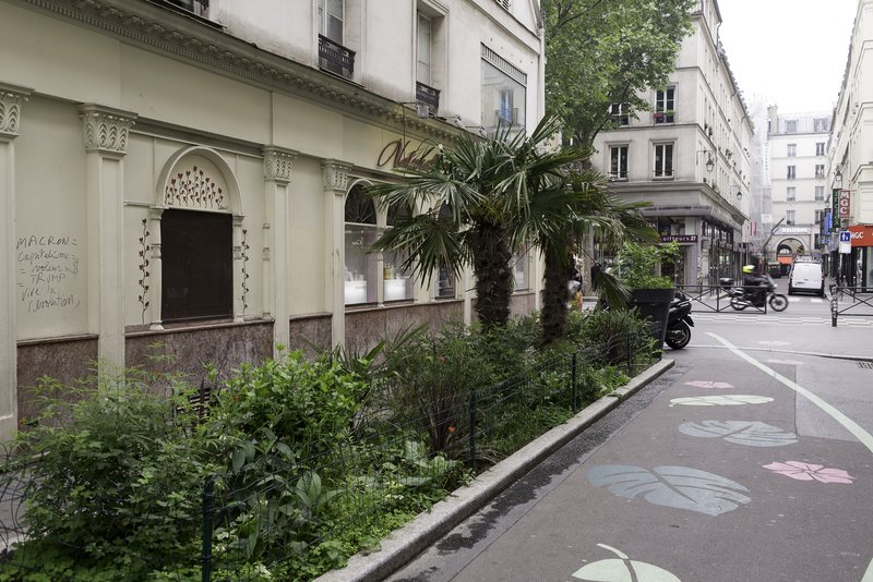 Paris's tweet image. En 2020, Paris comptera 100 hectares de toits, de façades et de murs végétalisés, et 20.000 nouveaux arbres dans l’espace public, dans les crèches et les collèges, par rapport à 2014 🌳 🌿 🌷

👉 bit.ly/2GS74vW