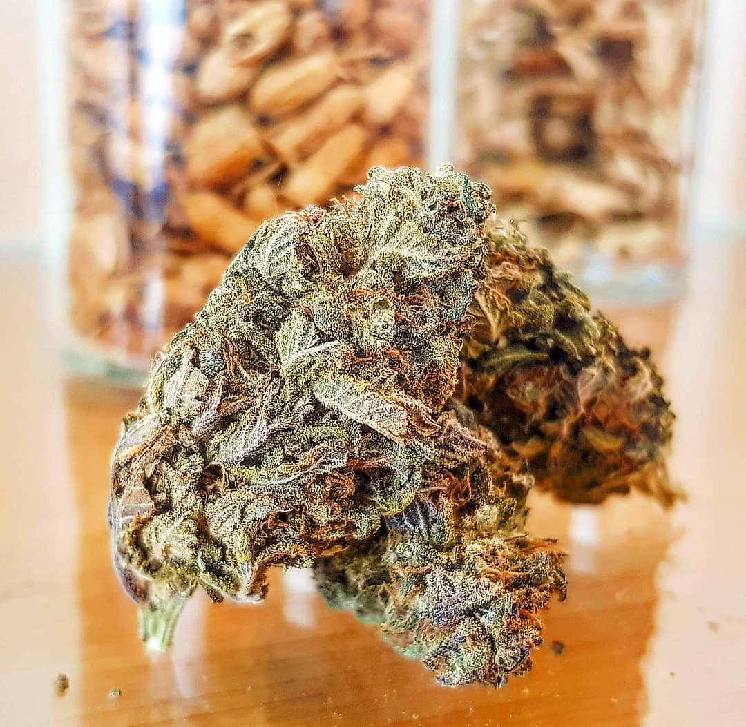 HighHeatExtract's tweet image. Cannabis can’t directly cure the AIDS virus, but it can and does help those living with it cope. Specifically, cannabis helps those living with AIDS/HIV maintain their diets and handle associated pains and aches.

#cbd #stayfaded #health #healthbenefits #anxiety #depression