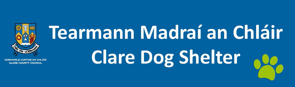 ClareCoCo's tweet photo. Upgrade works have commenced at Clare Dog Shelter. Works include new flooring, PVC windows, heating upgrade, and works to kennels including glass doors and new dog beds.
#CCCenvironment https://t.co/ptLkQyuPIg
