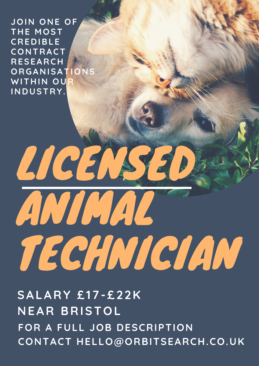 Contact us for more details:
.
.
.
.
.
.
.
.
.
#Network #Invivo #contractresearch #laboratory #medicine #cancerresearch #Bristol #Somerset #Healthcare #lifesciences #Job #Scientist #biologicalservices 
#module4 #AnimalTechnician #Research #invitro #animalwelfare #learningcurve