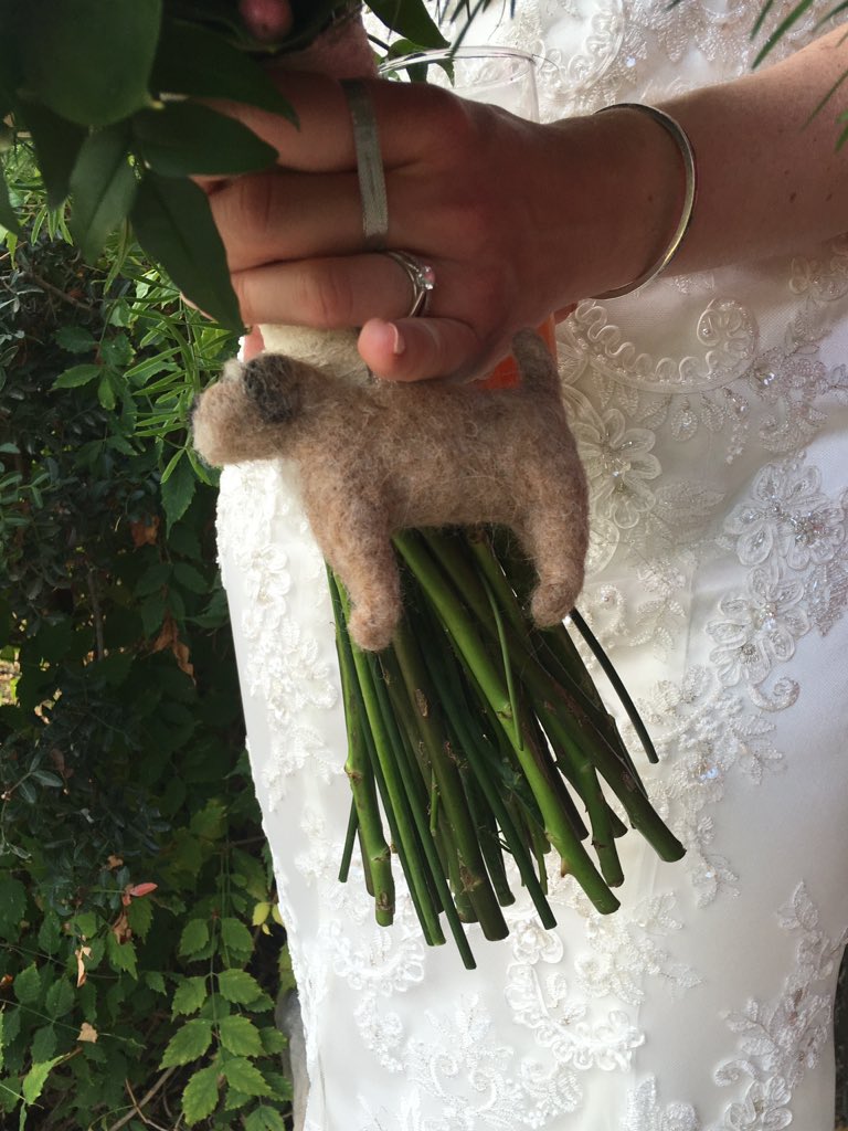 PoppyH20's tweet image. Coco went to the wedding! #flatcoco #minicoco @cocopops_12 @poodyandberty 🥂👰🤵🎂💐❤️