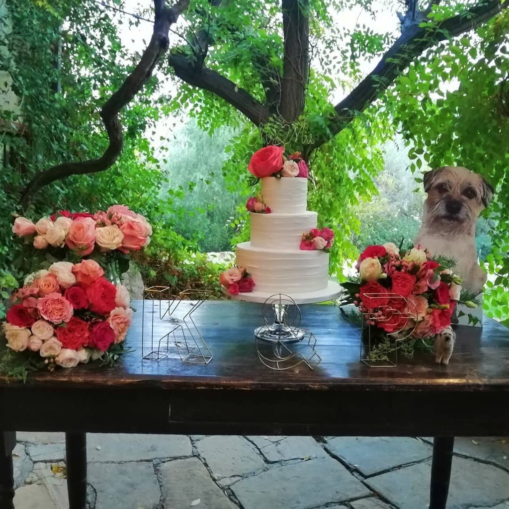 PoppyH20's tweet image. Coco went to the wedding! #flatcoco #minicoco @cocopops_12 @poodyandberty 🥂👰🤵🎂💐❤️