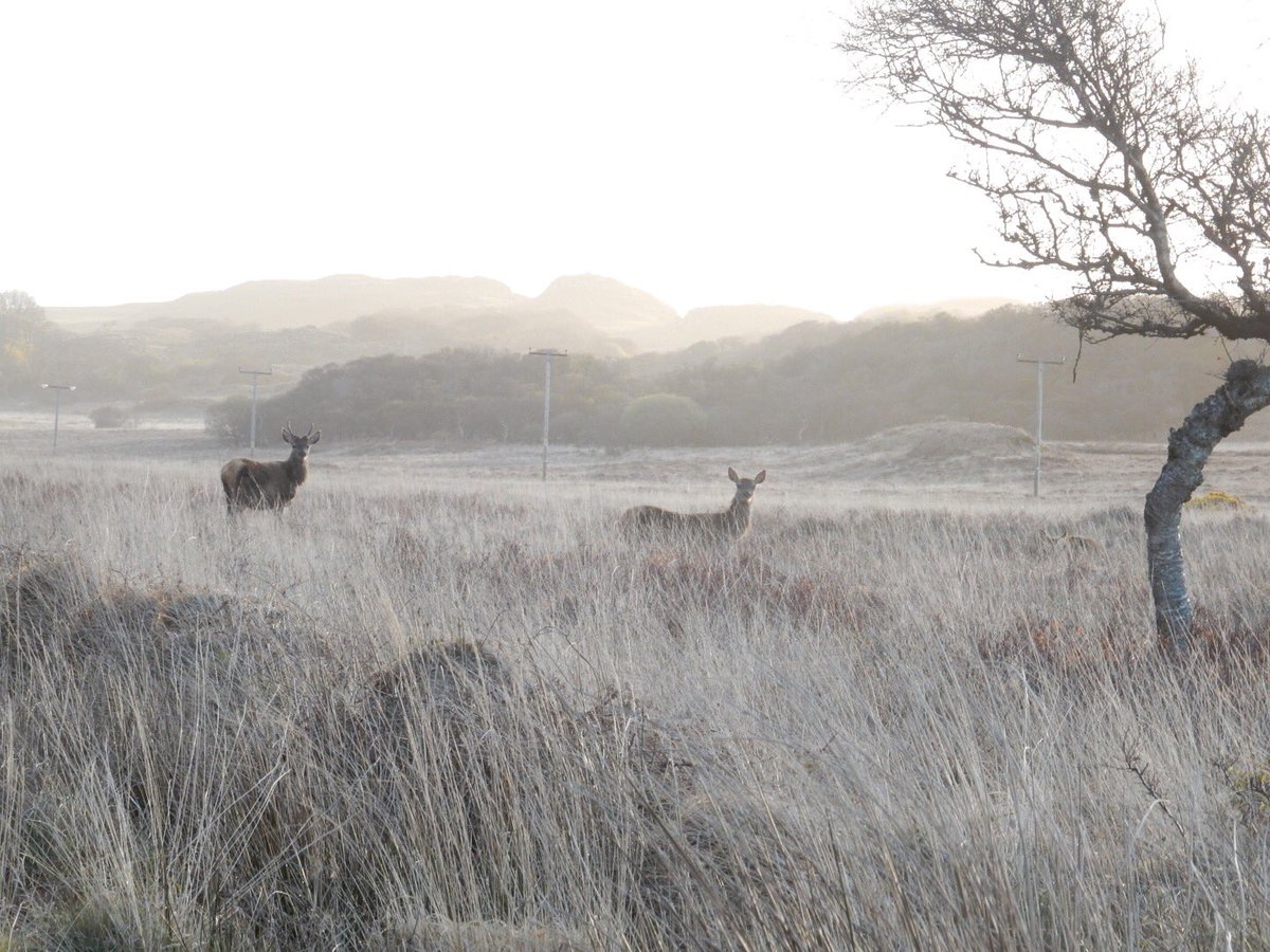 Benoit Bailey tweet media