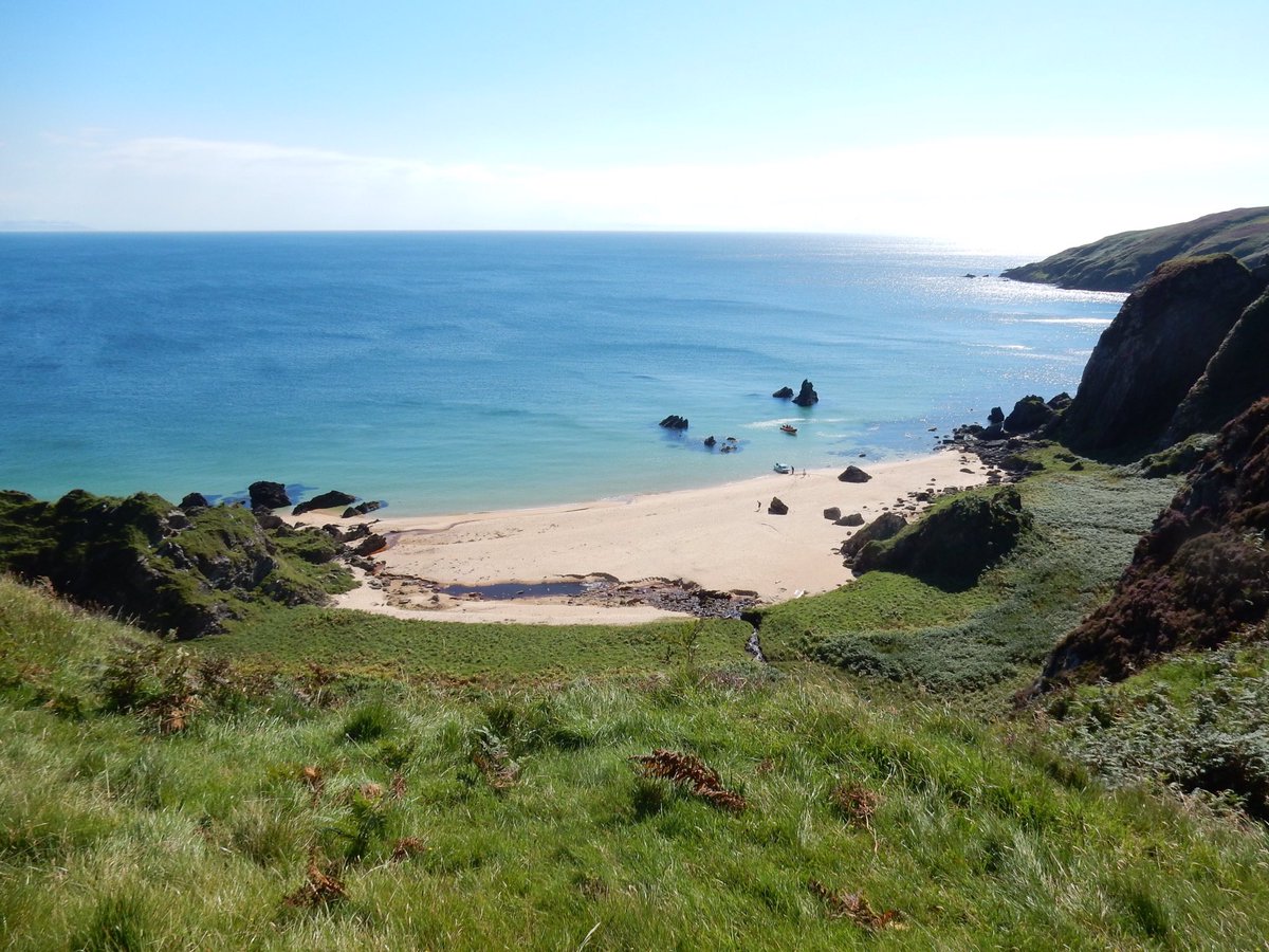 Benoit Bailey tweet media