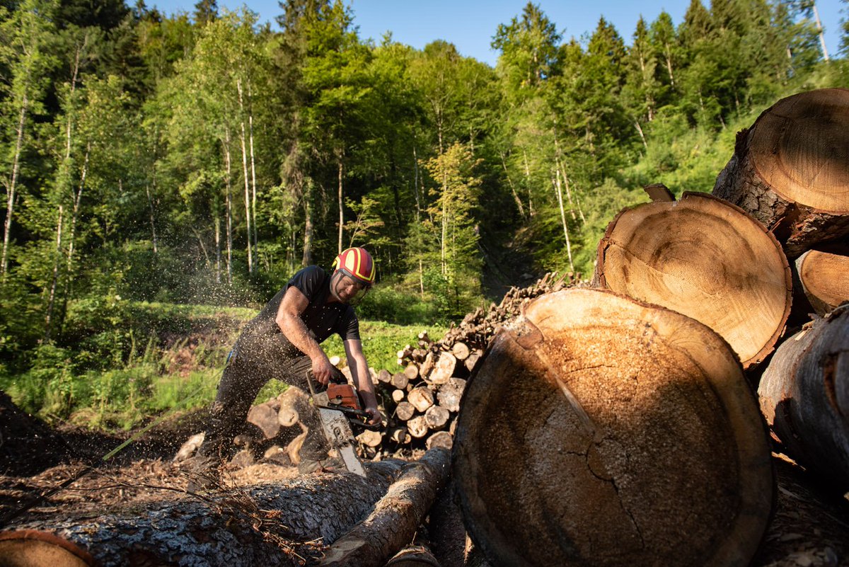 Tobias Ilg – der Landwirt des Jahres 2018 – ist immer sicher unterwegs mit Pfanner Schutzbekleidung und dem Protos Integral! 😊👍
Wir gratulieren herzlich zum Gewinn des CeresAward 2018 und mach weiter so! 👏
#CeresAward #EinfachSicherLeben #ProtosIntegral
#PfannerAustria
