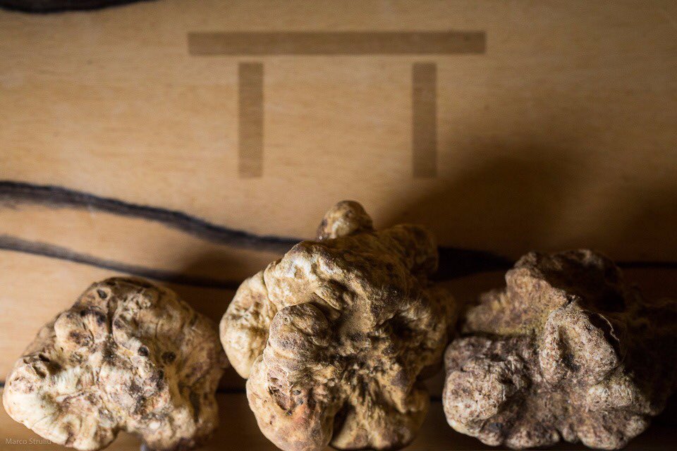 La truffe blanche d’Alba est arrivée, le menu-carte sera servi à partir de ce soir au restaurant ‘Pierre Gagnaire’ 6 rue Balzac 75018 #sortiraparis #automne #gastronomie