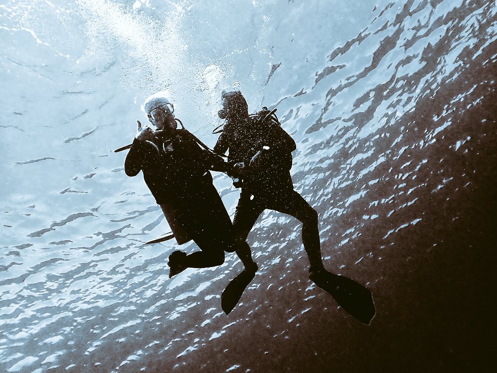 DiveLiquid's tweet image. Find some freedom underwater with @DiveLiquid 
#scubadiving #divephilippines #liquidsouldive #divecebu