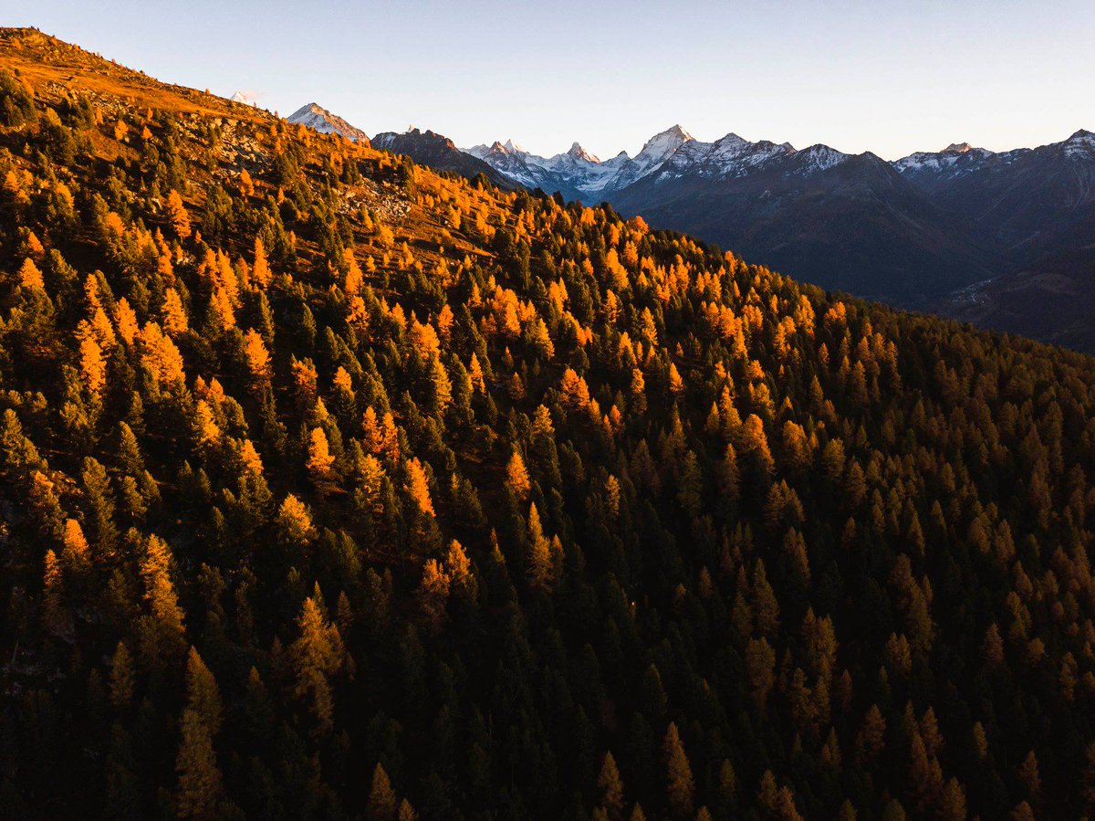 Val d'Anniviers (@valdanniviers) on Twitter photo Beautiful autumn colours at Golden hours in <a href="/valdanniviers/">Val d'Anniviers</a> captured by the talented @perwingaardsjoqvist!
#valdanniviers Beautiful autumn colours at Golden hours in <a href="/valdanniviers/">Val d'Anniviers</a> captured by the talented @perwingaardsjoqvist!
#valdanniviers
