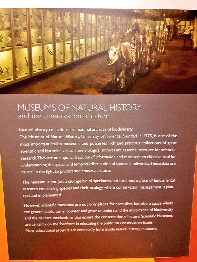 free Aus der Erfahrung des Denkens 2002