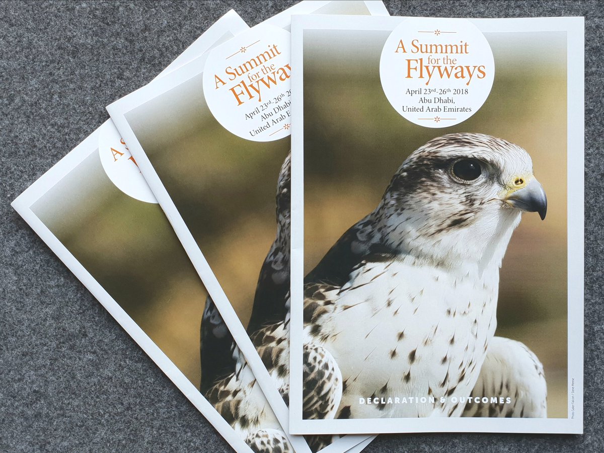 TheFalconBirder's tweet photo. Hot off the Press! Just received hard copies of the #Declaration and #Outcomes of the Summit for the Flyways held in #AbuDhabi #UAE in April 2018. Key sections on #VultureMsAP and #SakerGAP. #FlywaysSummit #RaptorsMoU https://t.co/0tJ8YkRP1k