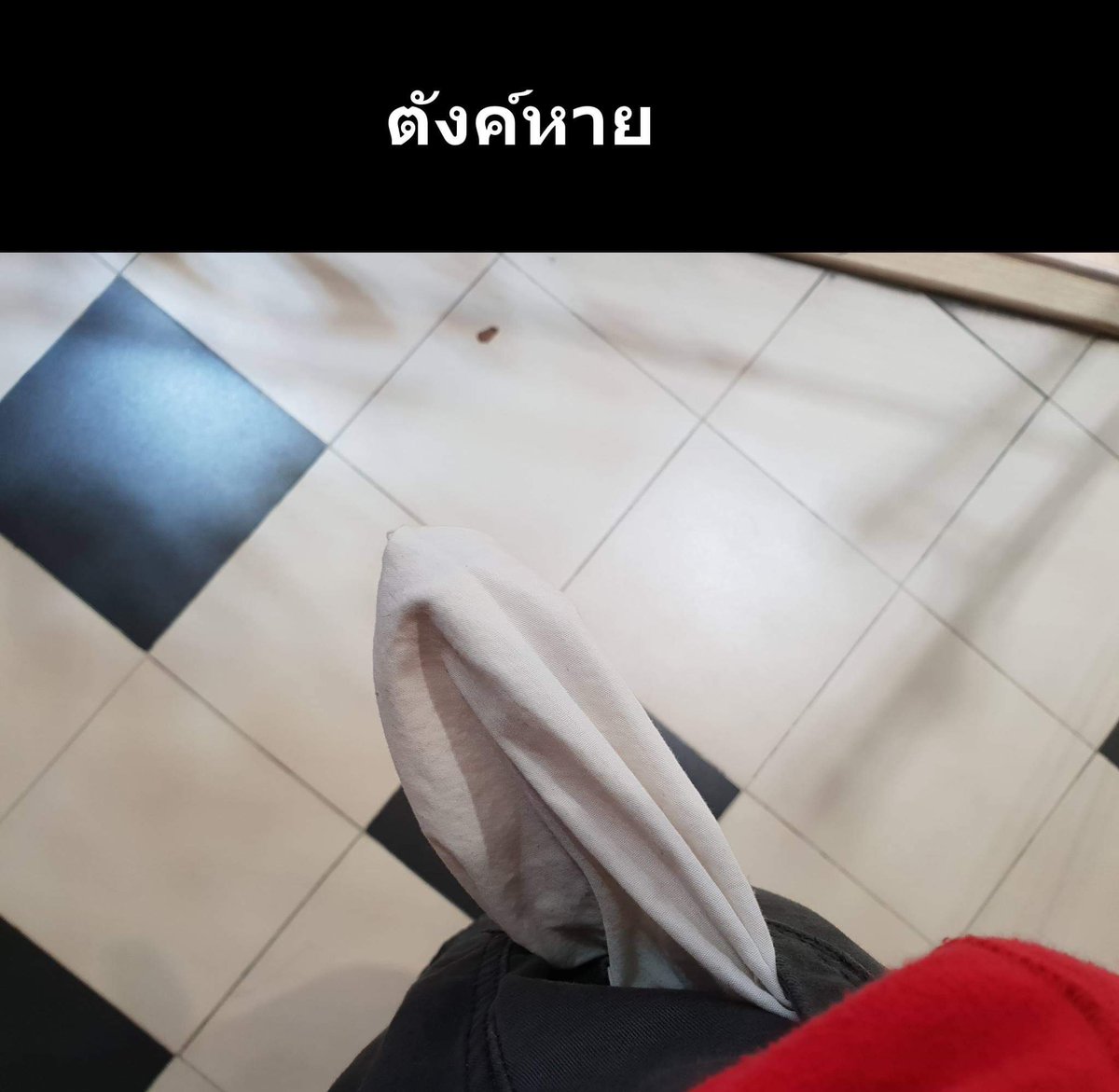 เรน ทหารม้าโยโกฮาม่า tweet media
