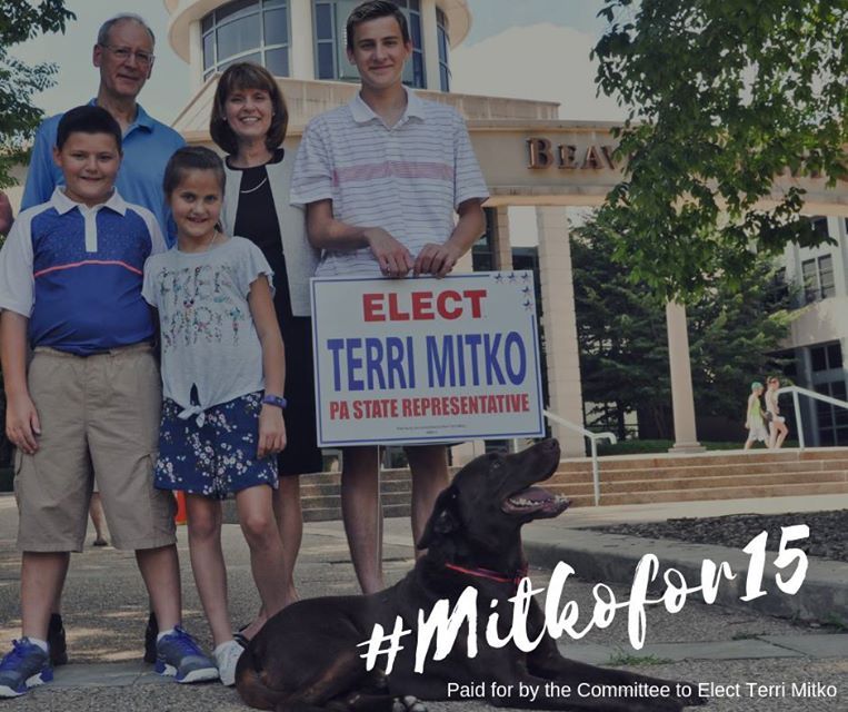 MitkoTerri's tweet photo. The odds were against us when we ran a write-in campaign in the primary. Yet, we won! Terri Mitko is on the ballot in Nov. 6 general election as the Democratic representative for House District 15. Together, we won the race. Now let’s get to work and win in November. https://t.co/s9ffZRTFpT