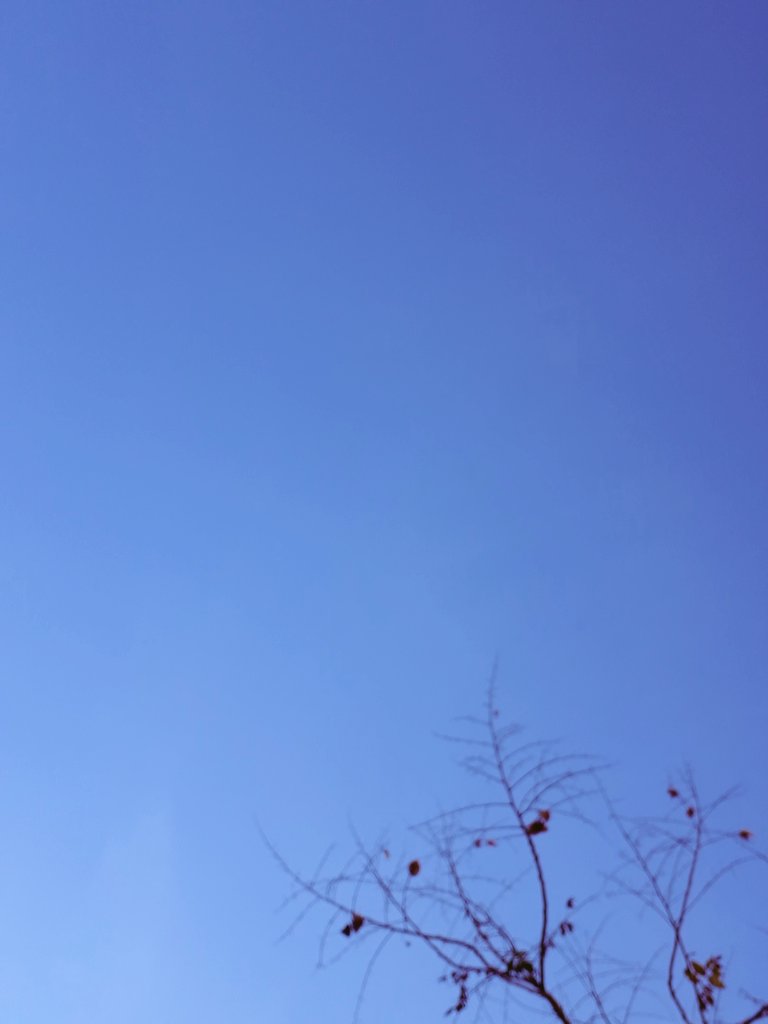 Homo Numericus Conférence #HN18 tweet media