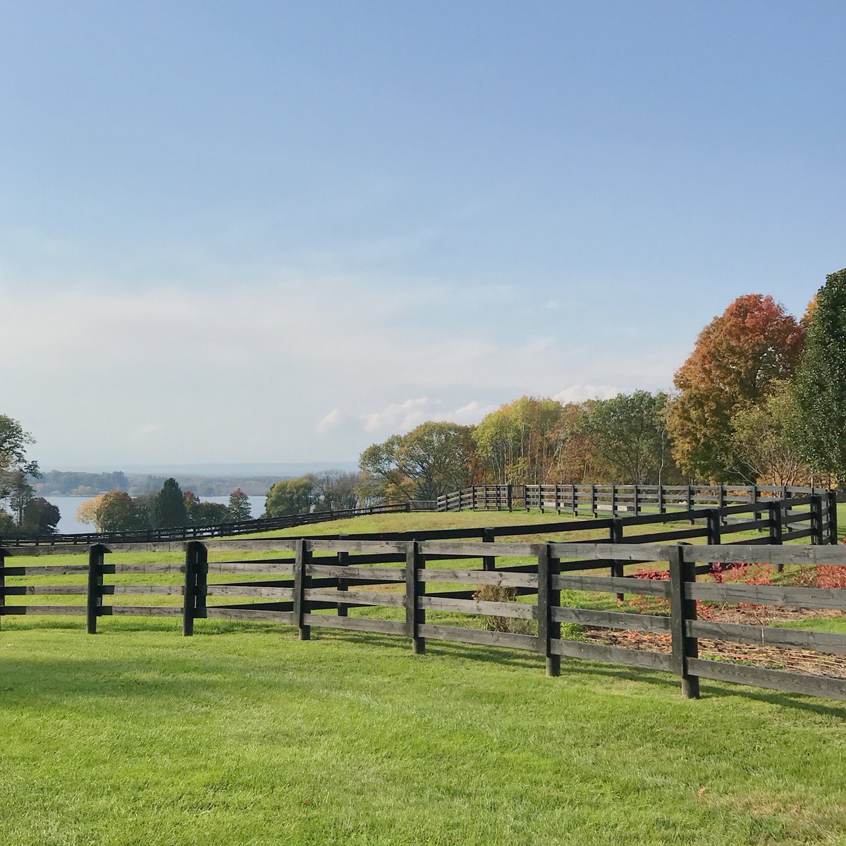 Farm beauty always inspiring us 🤩
#farmlife #horsefarm #winery #horsebreeding  #saratoga #saratogaracing #saratogasprings #upstatenewyork #explorenewyork #enjoytroy #exploresaratoga #upstateny #nywinery #saratogalake #capitalregion #shoplocal #oldtavfarm #oldtavernfarmwinery