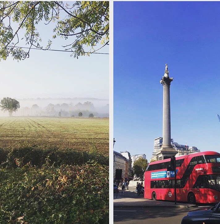 From left view to right in under one hour! Call the team here at Fiona Penny for advice on your move to the country and commutable villages. #movetothecountry #liveinkent #propertysearch #kentcountryhomes