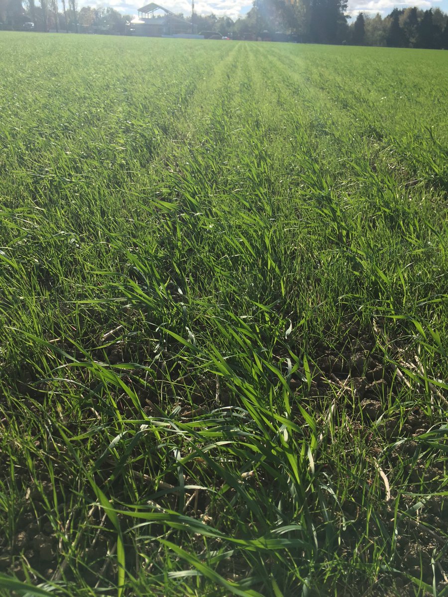 Neil moxon tweet media