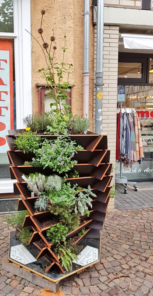 GoeringEckardt's tweet photo. Weiter geht's in #Witzenhausen - Fairtrade Town, Transition Town und Biostadt! Wow! 😮
Kommt vorbei und lasst uns reden - vielleicht kann mir noch jemand was zu dieser #Ackerwinde erzählen? Tolles Teil! 👍 #ltwhe18 https://t.co/HZ8XHzqddS