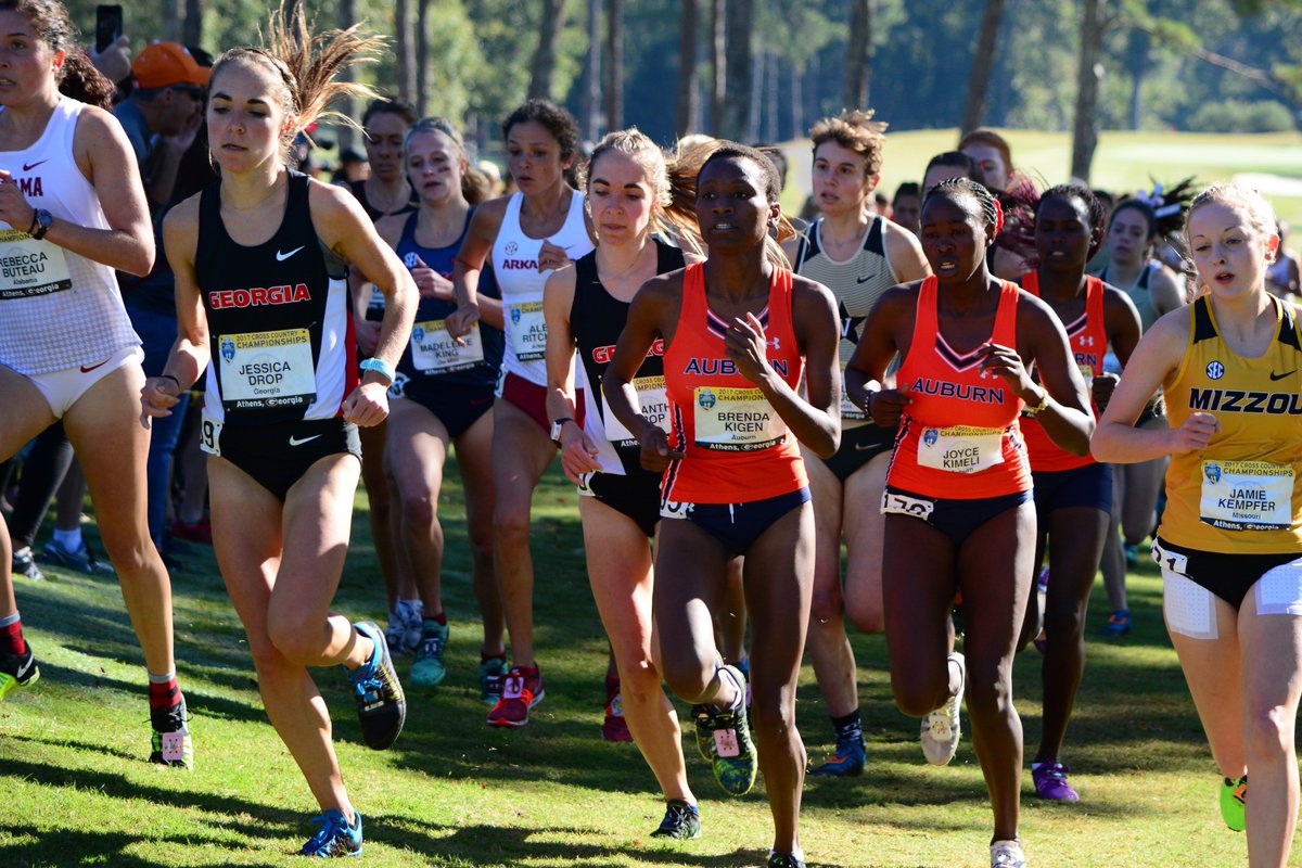 UGATrack's tweet image. No. 24 #UGA women &amp;amp; #Dawgs men take the Indian Pines Golf Course in Auburn, Ala., for the #SECXC18 on Friday morning to begin the postseason.
#GoDawgs #FindYourGreatness 
PREVIEW&amp;gt;&amp;gt;gado.gs/m2
RESULTS&amp;gt;&amp;gt;gado.gs/ls