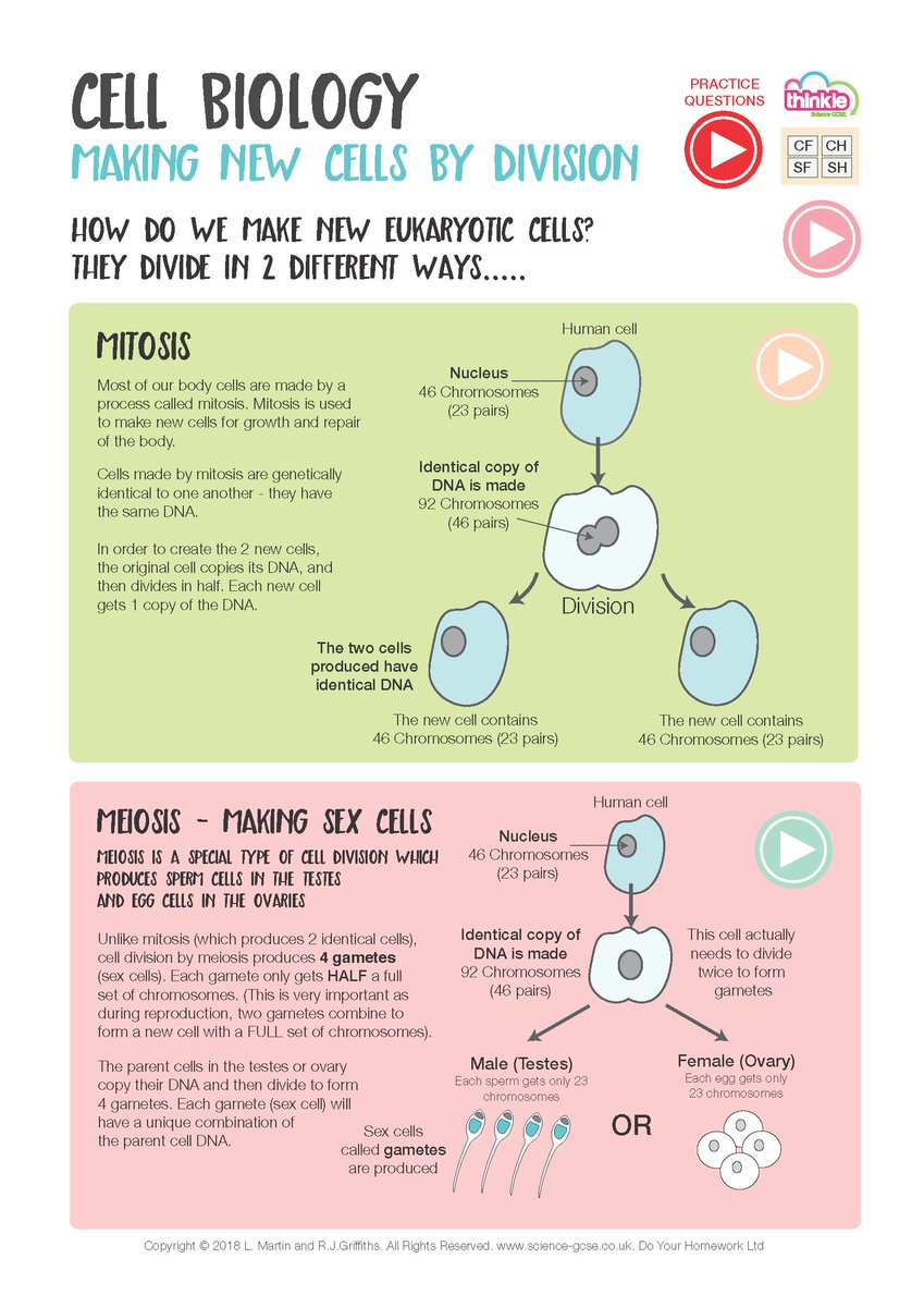 ThinkieScience's tweet photo. Science revision has started. My students are all logging into their Thinkie accounts to access fantastic notes, short video, animations and to try out the latest practice exam questions. Thinkie covers AQA and designed to reduce work and improve outcome https://t.co/GjW3cUphZ4 https://t.co/ND2WSGE3ir