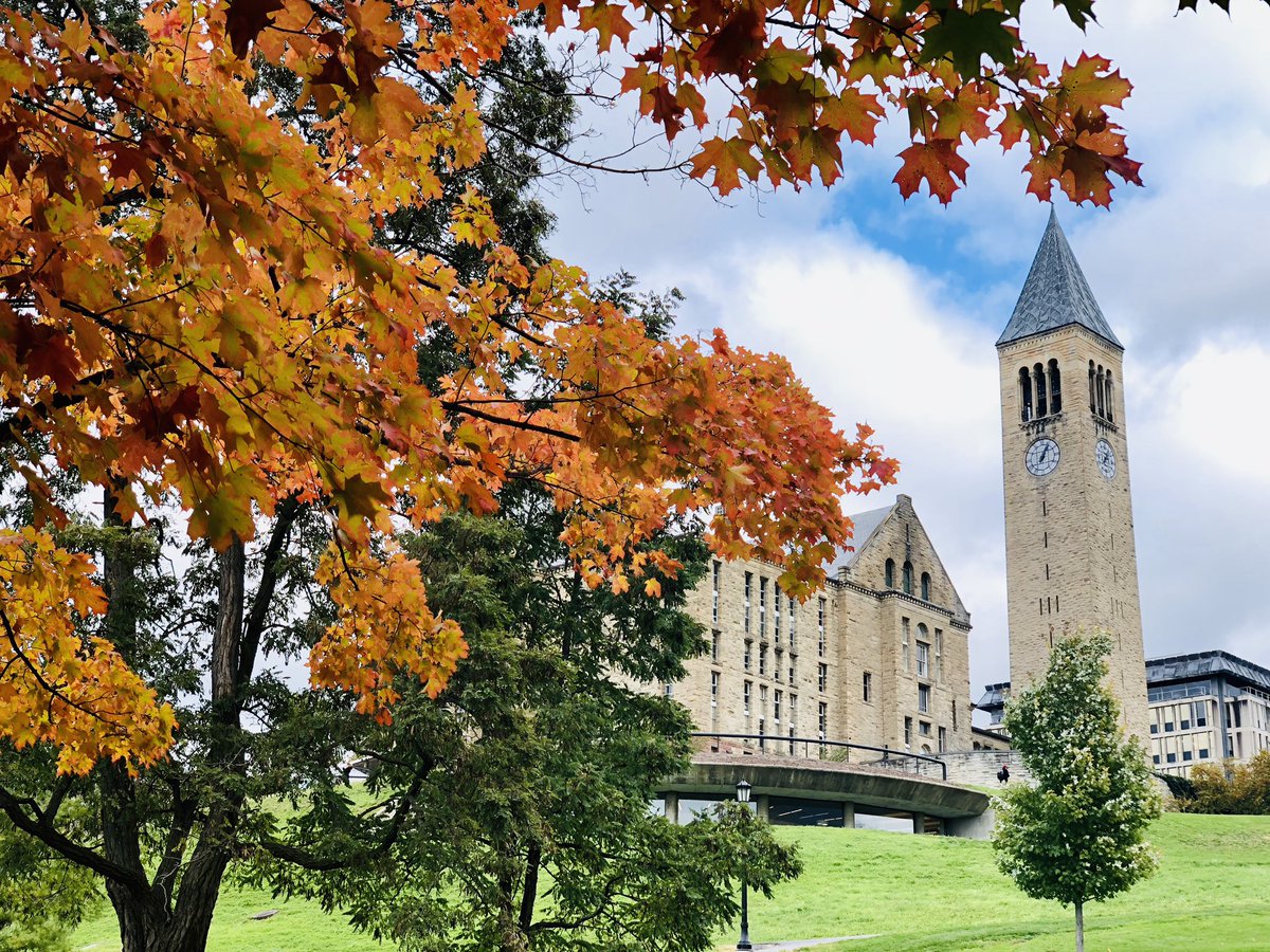 Cornell University Fall