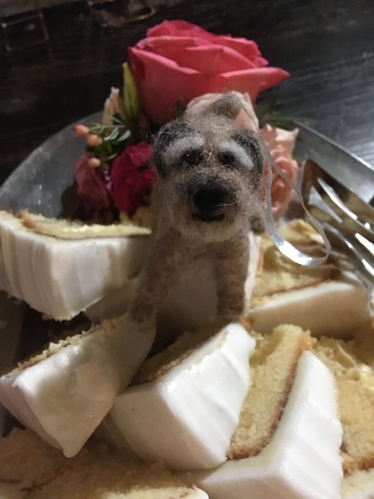 PoppyH20's tweet image. Thank you to the amazing @poodyandberty Coco could go to her Mum and Dad's wedding @cocopops_12 👰🤵💐😘