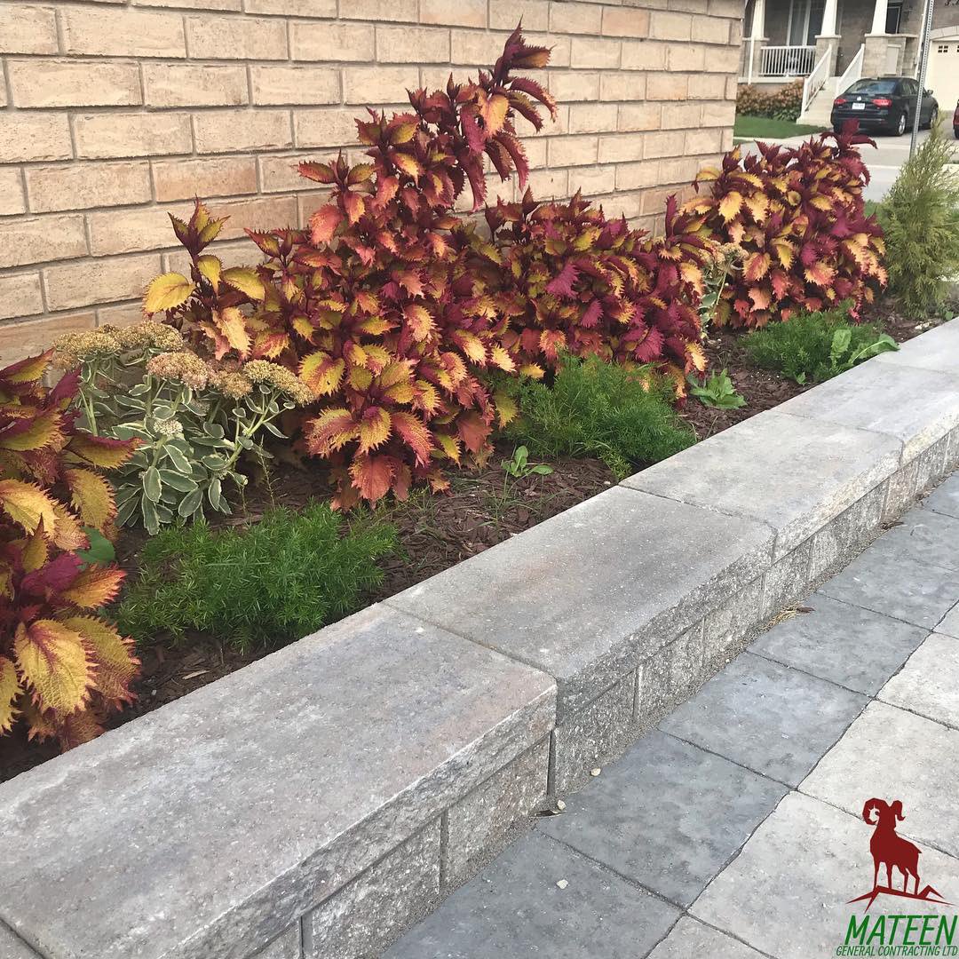 mateengeneral's tweet photo. 🍂🍁

Flower beds are a simple way to add dimension to your homes front entrance⁣

Check out the @mateengeneral web catalog for a full range of the industries top pavers⁣

We are currently running a 10% discount on all projects; act now!⁣

📞 or 📧 for a free estimate!

#sale https://t.co/1k5ITEPaZF