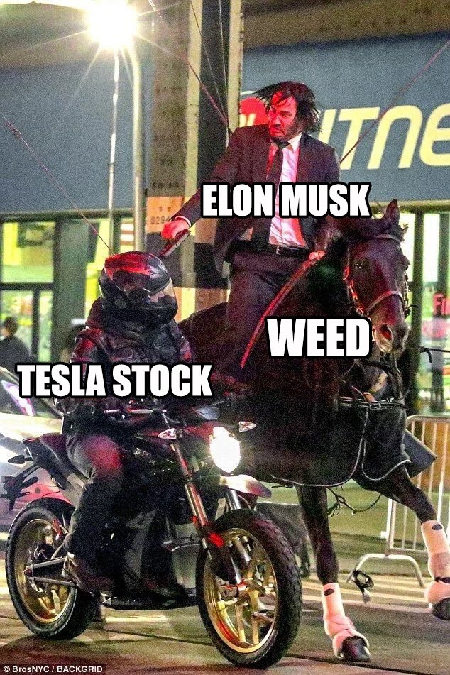 <a href="/elonmusk/">Elon Musk</a>