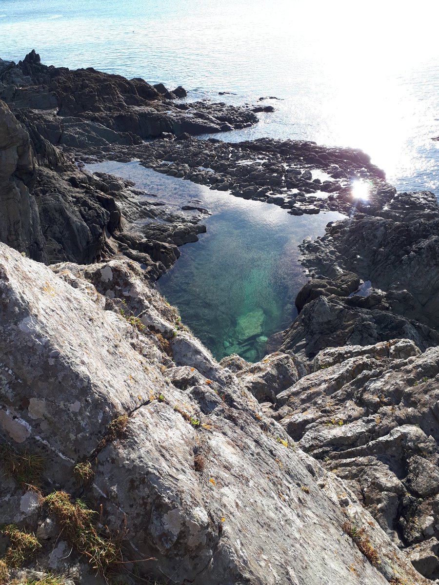 DougProp's tweet photo. I swam in this beautiful pool with the Daughter and eldest Young Prop today. Won't say it was cold, but I'm sure it brought a couple of lumps to my throat #brassmonkeys #Atlanticpool https://t.co/dym0EKgGQa