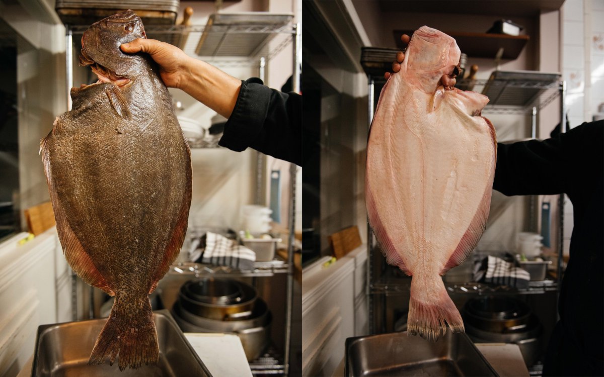 Notre poisson est toujours frais, frais, frais! 🎣 
Our fish is always fresh, fresh, fresh! 🐟