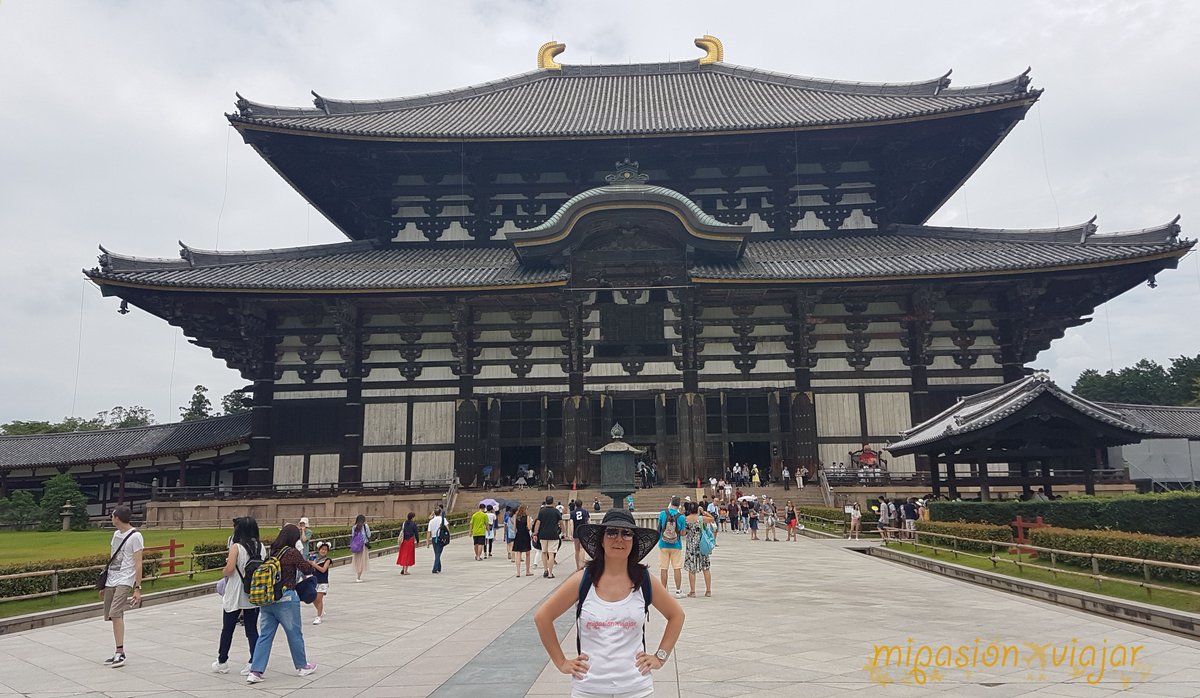 LizFieldComma's tweet photo. Postureo aragonés frente al templo Tōdai-ji (東大寺) en Nara #japon
#mipasionxviajar #globetrotters #lovetravel 日本 https://t.co/7GZ02130sv