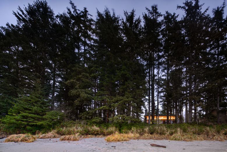 olsonkundig's tweet image. "The site is so beautiful, you can’t believe it: When you look up into the sky, you see the trees going up and the sky, looking out to the ocean, every direction in the woods." Read more about Jim Olson's Tofino Beach House project on @seattletimes: buff.ly/2Rg6s58