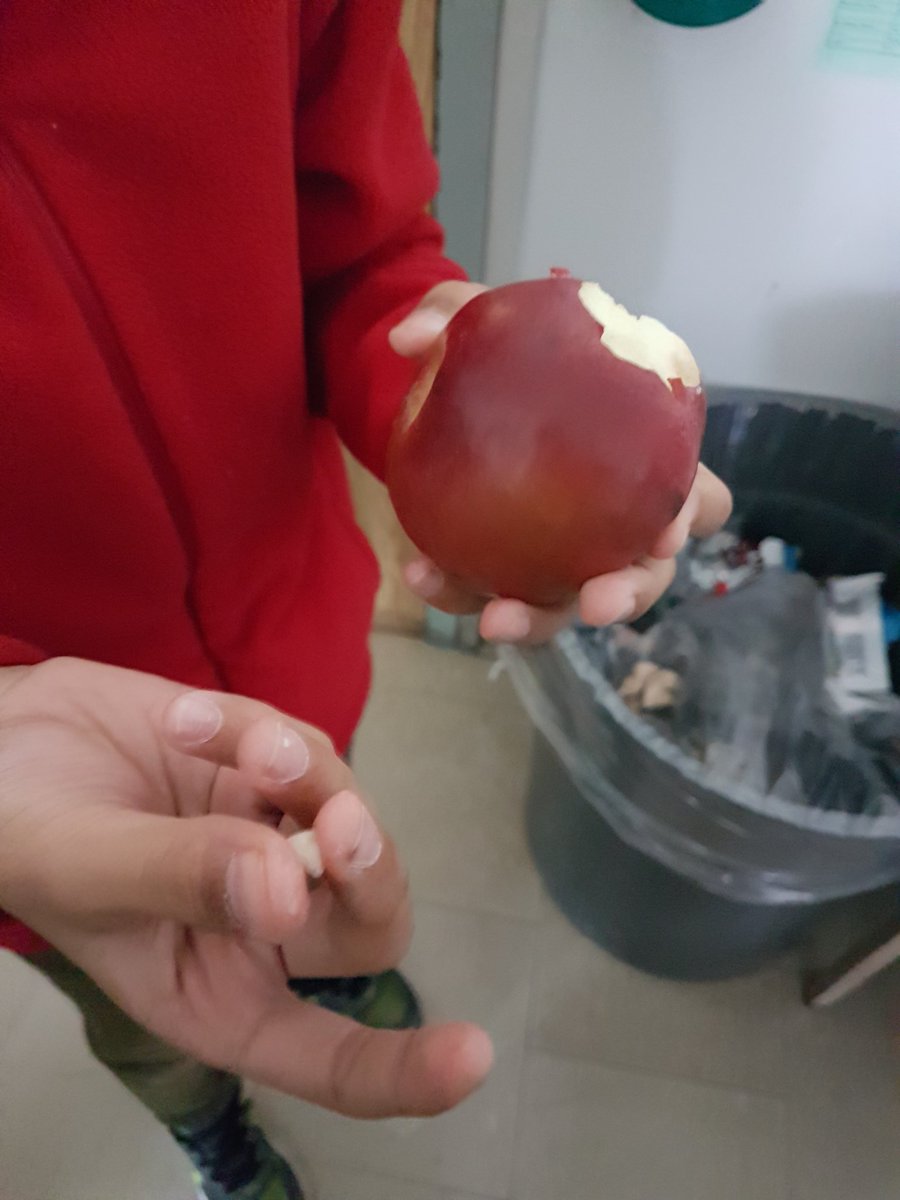 🍏🍎We crunched so hard for the #GreatBigCrunch that someone @stjeanbrebeuf lost a tooth! I guess the Tooth Fairy is visiting tonight! 😎