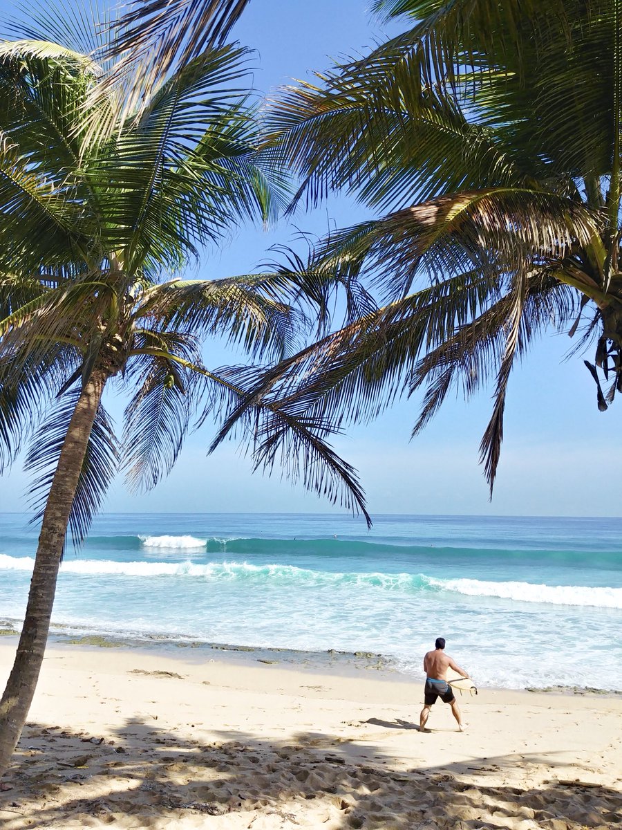thesaltybum's tweet photo. Salty Bum colors are inspired by our beautiful Caribbean island hues. From  shades of blue water colors to green 🥥 palm trees 🌴 

#SaltyBum ft. #PuertoRico https://t.co/wVByeieZIQ