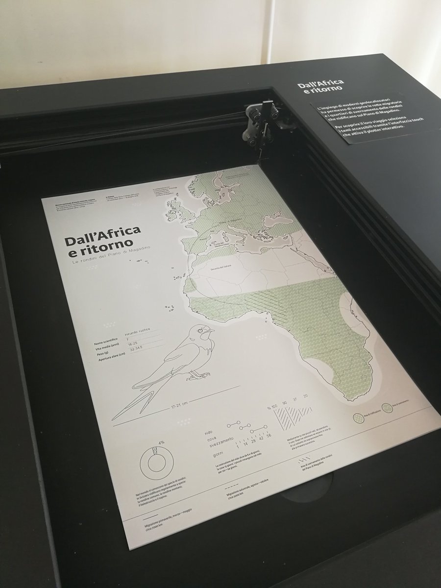 Giovanni Profeta tweet media