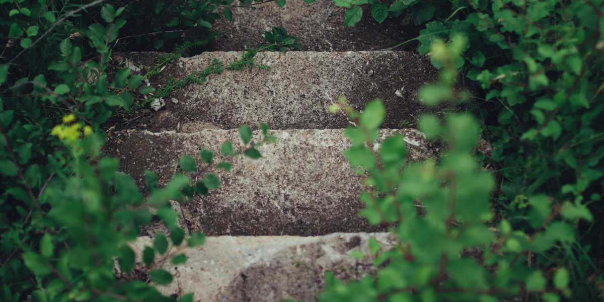 RaganAndMassey's tweet image. .@raganandmassey alone sells six different brands of #herbicides and each has their particular uses for #vegetationcontrol. bit.ly/2yudvAb