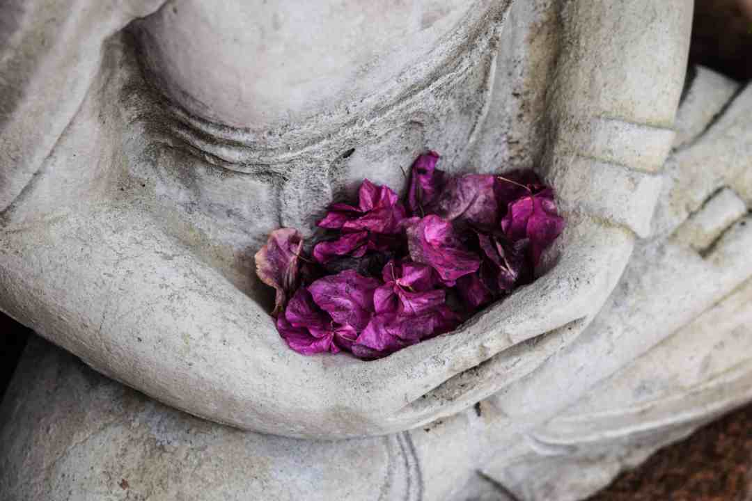 DevaTree's tweet photo. Join DevaTre Grad Cindy DeJong for a Chakra Workshop on October 27th at the Yoga Den in Goderich from 9am to 12pm.   Register here: https://t.co/9VaeNrirOl https://t.co/GsubmCmECB