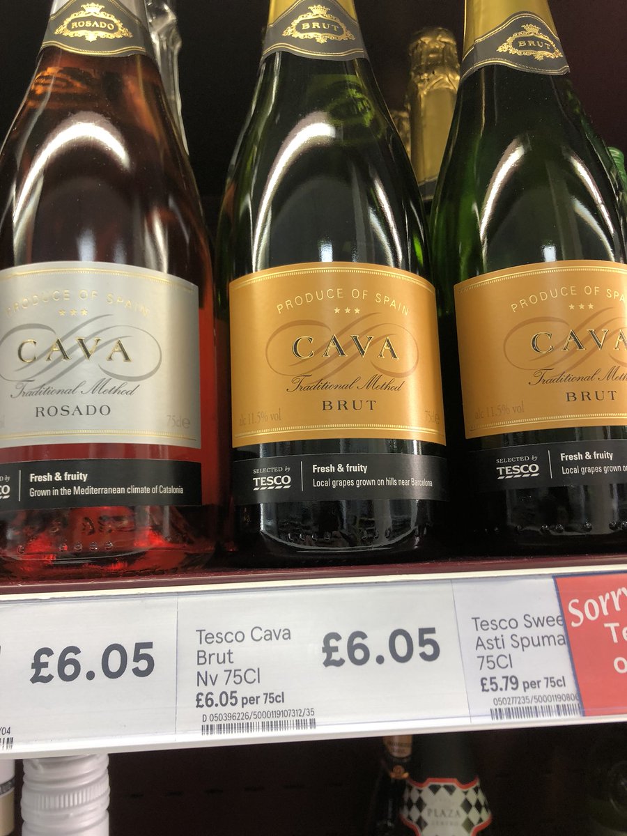 Hailey Tuck tweet media