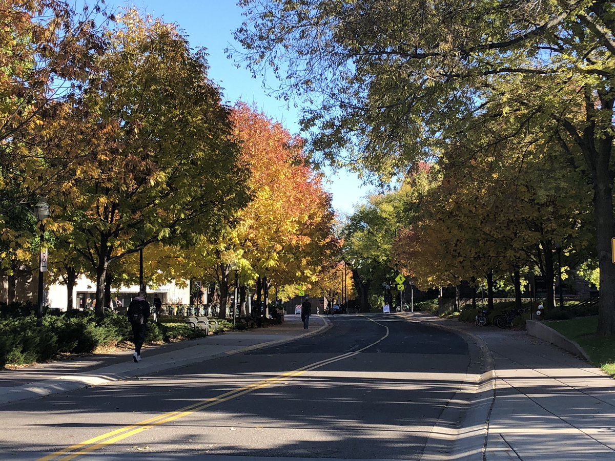 GopherVBall's tweet photo. Fall on the University of Minnesota campus. 🤩🍁 https://t.co/R7GNwz2Nkr