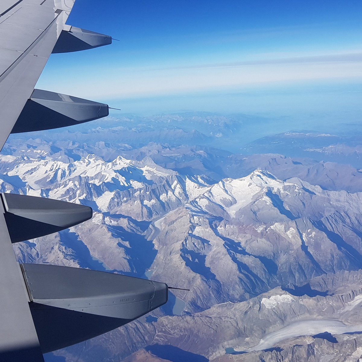 Greenkeeper tweet media