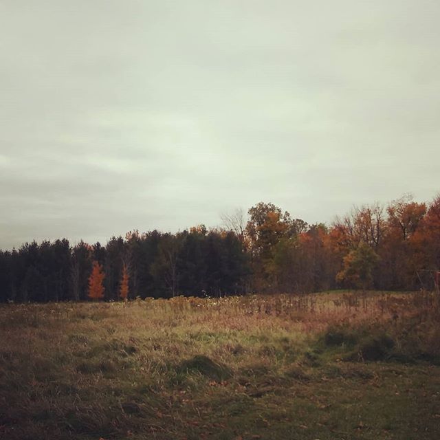 Lisa Murphy tweet media