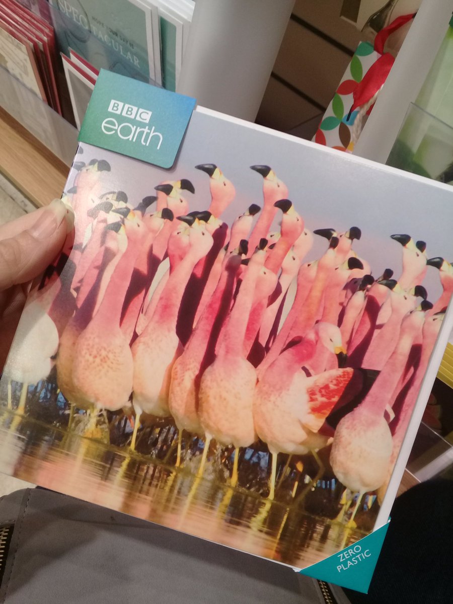 thereal_jayhay's tweet photo. Why the new obsession with individually wrapping all greetings cards in #plastic? I thought we'd been through this guys! Big up @BBC for not following. Friends &amp; fam, be prepared to get a lot of BBC cards from me! #LessPlasticMorePlanet #SayItWithFlamingoes https://t.co/V6eNe3CdCq