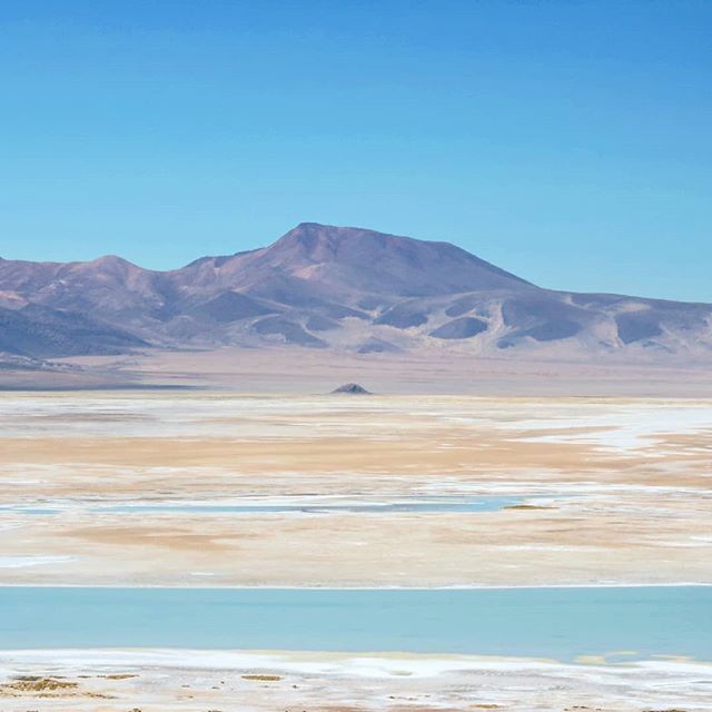 Beautiful_Chile's tweet photo. Huasco salt flat: Atacama Desert highlands, Tarapacá region.
.
Salar de Huasco, en el Desierto de Atacama, región de Tarapacá.
.
📷 @mistico_outdoors
.
.
TAG | ETIQUETA @beautiful.chile #beautifulchile
.
.
.
.
.
.
.
.
#atacamadesert #atacama #atacamac… https://t.co/AxO2JauSby https://t.co/iOp7LWo1a9