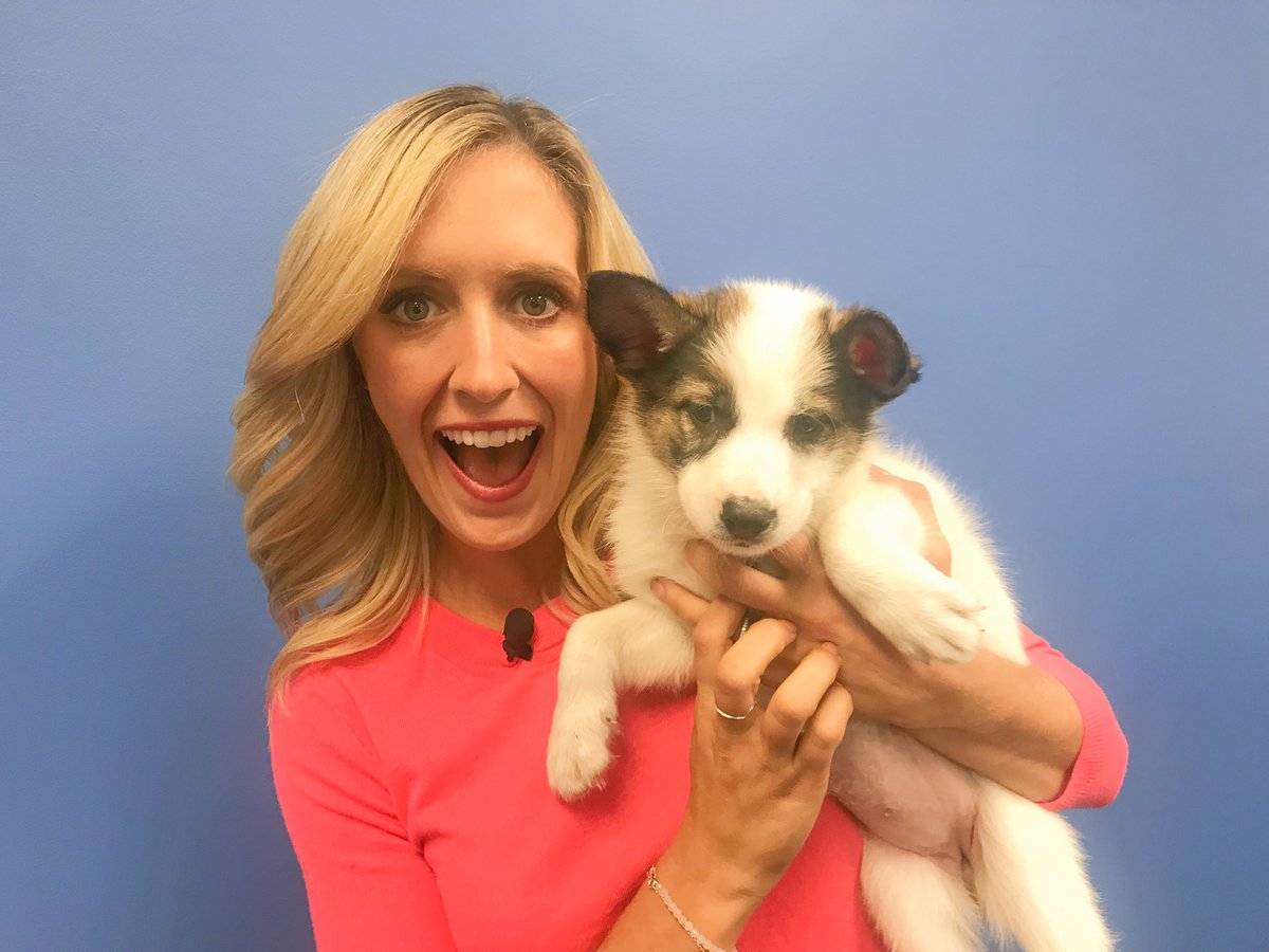 MollyRiehl's tweet photo. This morning on @MoreGDO... ๐ @OregonHumane https://t.co/DTevruFu5n