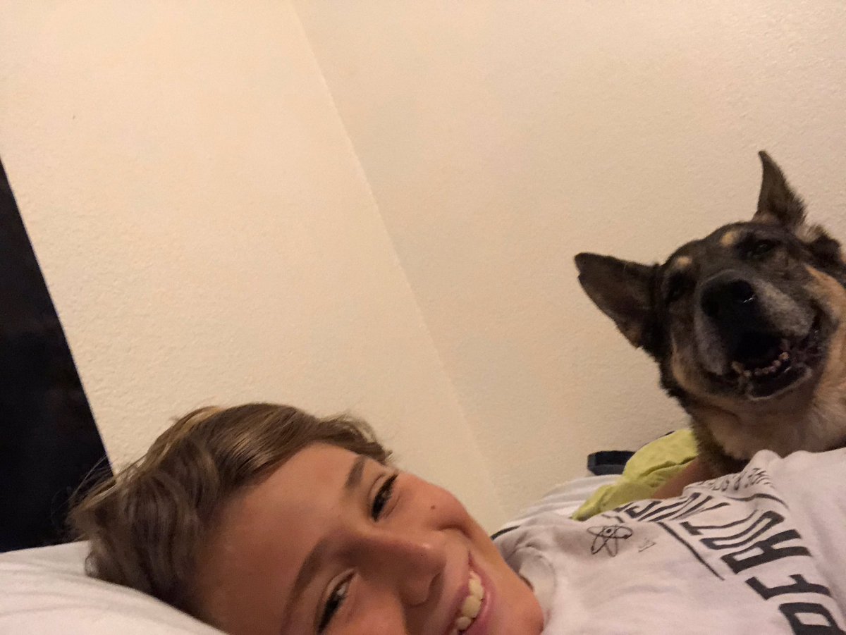 DFWRoxie's tweet image. I smile for the camera! #AdoptDontShop #GSDoftwitter #mansbestfriend #shelterdog