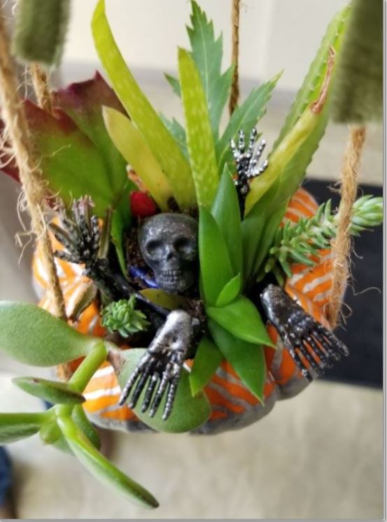 GemlineHr's tweet photo. Winners from our pumpkin decorating contest! Congratulations Stephanie, Sophie, and Sara! #Pumpkins #Creative #winners #lifeatgemline https://t.co/mDO7Qo3GW1