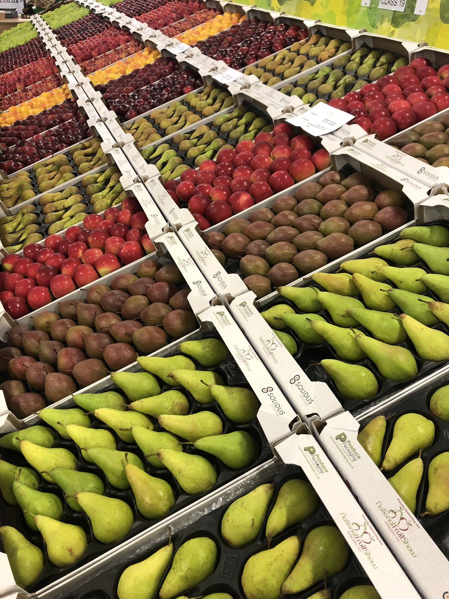 vikki_eames's tweet photo. Nice little trip up to @Nationalfruit show - always amazing to see all the fruit lined up & polished to perfection. Good to catch up with @createacabin @sjbarneslimited & @ProducedinKent.
#nfs #fruitshow #britishfruit #applesfordays https://t.co/O2q33SRoAO
