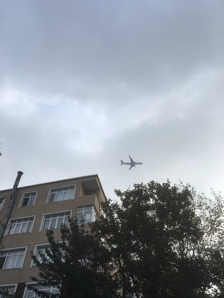 drop nereye düştü ya