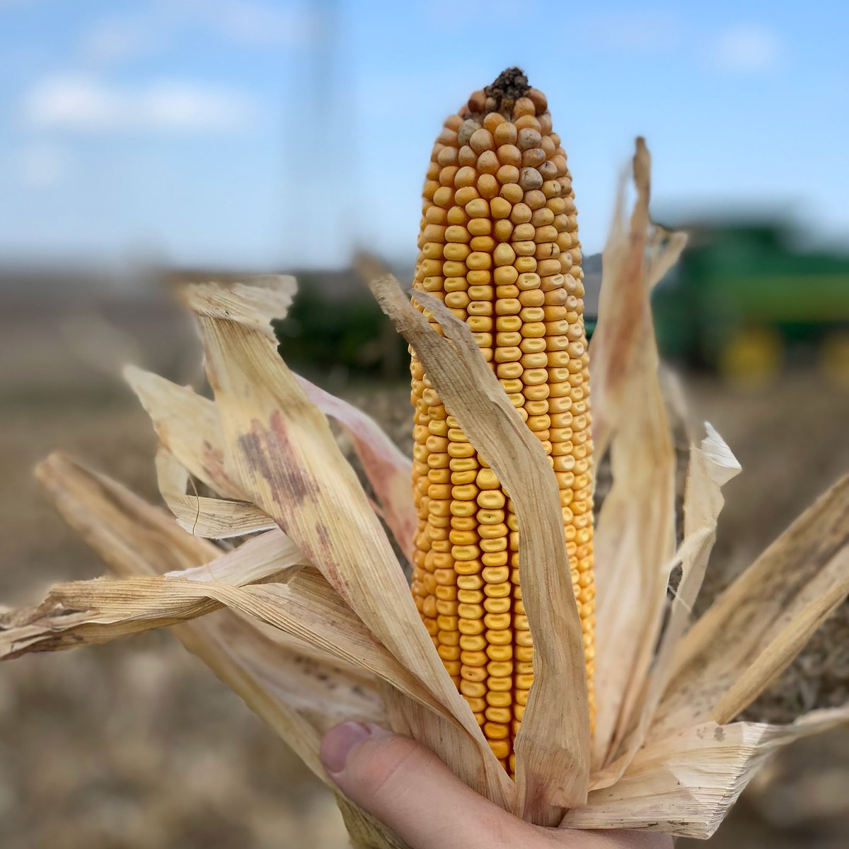 DudeFoods's tweet photo. [NEW POST] Yeah… I’m Basically a Corn Expert Now Thanks to @Iowa_Corn!

https://t.co/gIGqCUMSzY

#IACornQuest #sponsored https://t.co/Ob88AQP4sn