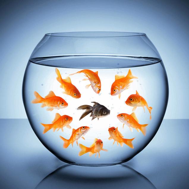 AbaasaBrighton's tweet image. Fearlessly be yourself.
- Anthony Rapp
#VisualKey