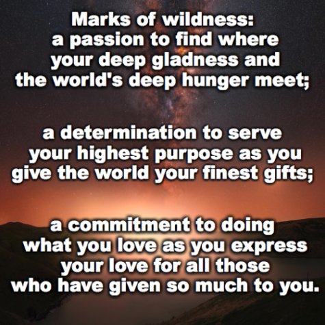To be wild is not to be like a criminal or psychotic;  not about manic rebellion or seething alienation. Marks of wildness are a love of nature,  delight in silence, a voice free to say spontaneous things, and an exuberant curiosity in the face of the unknown. - Robert Bly
